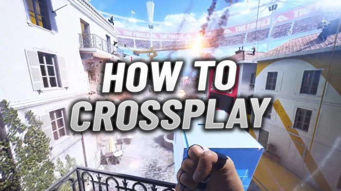 Cross-Platform Play