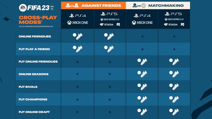 Cross-Platform Play